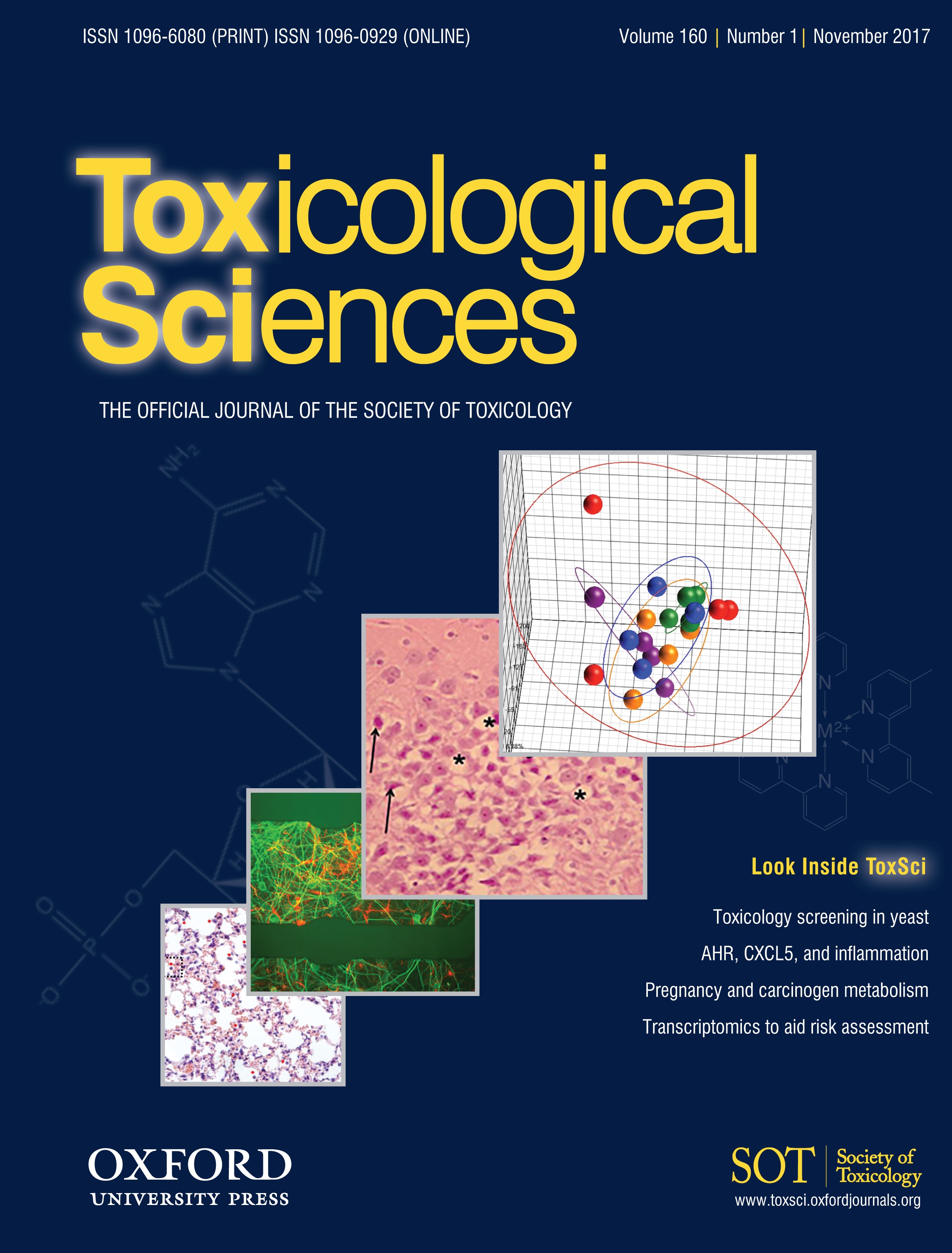 issue cover