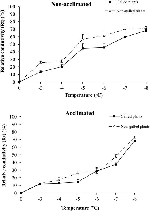 Mean (±SE) relative conductivity (Rt) (%) caused by cold treatment in galled and non-galled E. camaldulensis young plants in non-acclimated plants (top) and acclimated plants (bottom) at different cooling temperatures.