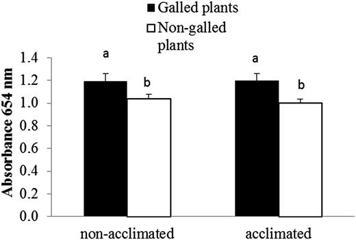 Absorbance (654 nm) of healthy leaves of galled and non-galled E. camaldulensis in cold non-acclimated and acclimated plants (data are means ± SE).