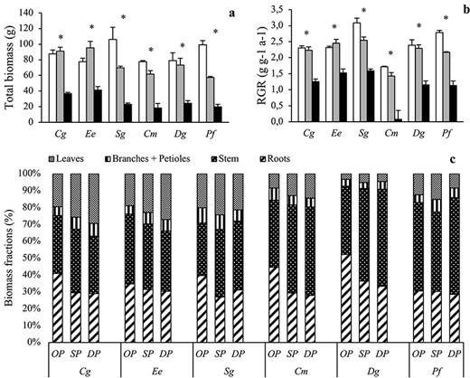 (a) Total biomass (g), (b) relative growth rate (RGR) and (c) biomass allocation (%) of Carapa grandiflora (Cg), Entandrophragma excelsum (Ee), Syzygium guineense (Sg), Croton megalocarpus (Cm), Dombeya goetzenii (Dg) and Polyscias fulva (Pf) planted in open (white in a, b; OP in c), sparse canopy (gray in a, b; SP in c) and dense canopy (black in a, b; DP in c) plots. Species to the left (Cg, Ee, Sg) are shade tolerant and species to the right (Cm, Dg, Pf) shade-intolerant. Leaf biomass data represent leaves attached at the time of harvest. The error bars represent standard errors (n = 3). The symbol * in (a) and (b) indicates significant variation among radiation regimes within a species. Overall statistics results are provided in Table 2.
