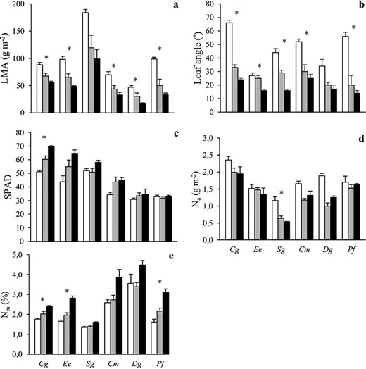 The (a) leaf mass per unit leaf area (LMA), (b) leaf angle, (c) SPAD, (d) nitrogen content per unit leaf area (Na) and (e) nitrogen content per unit leaf mass (Nm) of six tropical tree species grown in open (white), sparse canopy (gray) and dense canopy (black) plots. Species to the left (Cg, Ee, Sg) are shade-tolerant and species to the right (Cm, Dg, Pf) shade-intolerant. The error bars represent standard errors (n = 3). The symbol * indicates significant variation among radiation regimes within a species. Species: Carapa grandiflora (Cg), Entandrophragma excelsum (Ee), Syzygium guineense (Sg), Croton megalocarpus (Cm), Dombeya goetzenii (Dg) and Polyscias fulva (Pf).