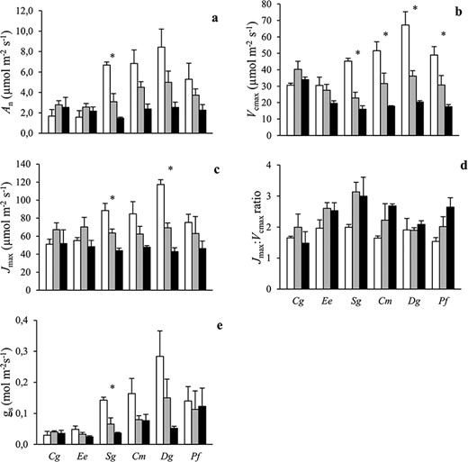 The (a) light-saturated net CO2 assimilation (An), (b) maximum rates of photosynthetic carboxylation (Vcmax) and (c) electron transport (Jmax), (d) Jmax:Vcmax ratio and (e) stomatal conductance (gs) of six tropical tree species grown in open (white), sparse canopy (gray) and dense canopy (black) plots. Species to the left (Cg, Ee, Sg) are shade tolerant and species to the right (Cm, Dg, Pf) shade-intolerant. The error bars represent standard errors (n = 3). The symbol * indicates significant variation among radiation regimes within a species. Species: Carapa grandiflora (Cg), Entandrophragma excelsum (Ee), Syzygium guineense (Sg), Croton megalocarpus (Cm), Dombeya goetzenii (Dg) and Polyscias fulva (Pf).