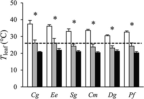 Leaf temperature (Tleaf) of six tropical tree species grown in open (white), sparse canopy (gray) and dense canopy (black) plots. The dashed line indicates the Arboretum weather station air temperature (25.9 °C) during the period of the leaf temperature measurements. Species to the left (Cg, Ee, Sg) are shade-tolerant and species to the right (Cm, Dg, Pf) shade-intolerant. The error bars represent standard errors (n = 3). The symbol * indicates significant variation among radiation regimes within a species. Species: Carapa grandiflora (Cg), Entandrophragma excelsum (Ee), Syzygium guineense (Sg), Croton megalocarpus (Cm), Dombeya goetzenii (Dg) and Polyscias fulva (Pf).