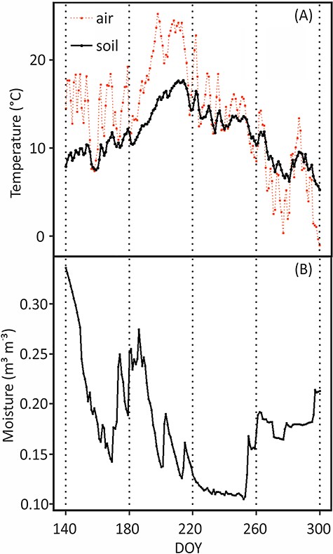 (A) Daily mean of soil temperature at depth of 2–5 cm, air temperature (°C) and (B) soil moisture (m3 m−3) at depth of 14–25 cm during the experimental period. Soil moisture indicates soil VWC. DOY stands for day of year, the sequential day number starting from 1 Jan 2018.