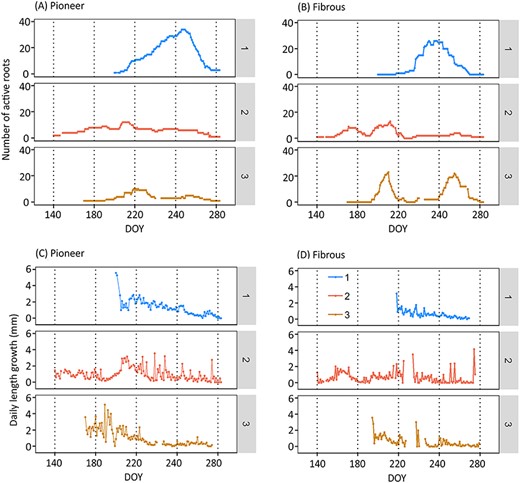 (A, B): Variation of number of active roots of different root types (pioneer, fibrous) during the growing season. (C, D): Variation of root elongation (mm day−1) of different root types (pioneer, fibrous). Note: The numbers 1, 2, 3 indicate the different scanners. The missing values of scanner 2 during DOY 226–233 (14–21 Aug) and scanner 3 during 16–24 Aug (DOY 228–236) were due to the absence of active fibrous roots. Other missing data were due to equipment problems: 27–28 May and 4 Aug (for scanner 2); 29 Aug–2 Sep and 14 Oct (for scanner 3). DOY stands for day of year, the sequential day number starting from 1 Jan 2018.