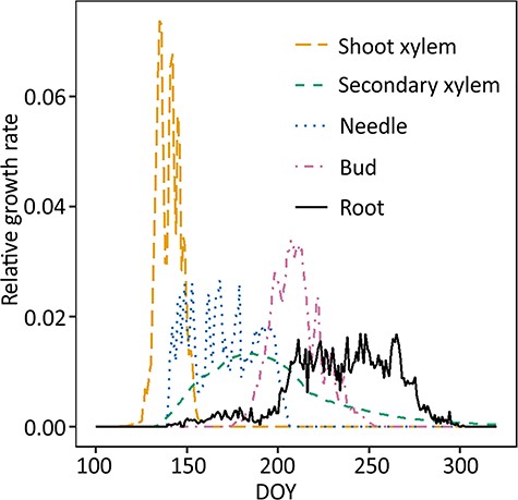 Estimated above- and belowground phenology of scots pine. Aboveground growth was modeled by CASSIA (Schiestl-Aalto et al. 2015), root growth (black solid line) was measured in this study. Note that the y-axis was relative growth, i.e., it only described the timing of growth, not the carbon used for growth. Integral of each line = 1.