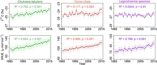 Annual variability and long-term trends in δ13C (corrected for atmospheric CO2 increase) and intrinsic water-use efficiency (iWUE) of three South Asian tropical moist forest tree species.