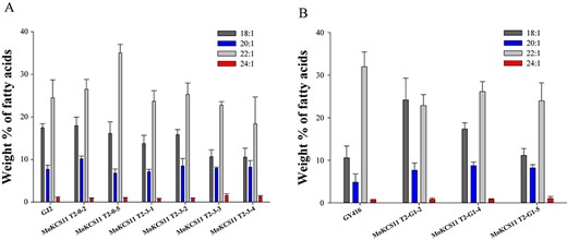 Fatty acid composition of MoKCS11 transgenic in seeds of B. napus. Relative proportions of 18:1, 20:1, 22:1 and 24:1 in seed oils from the host cultivar GJ2 (A) or GY614 (B) and their T2 independent transgenic lines expressing the MoKCS11 gene under control of the phaseolin promoter. Error bars indicate ±SE (n = 3).