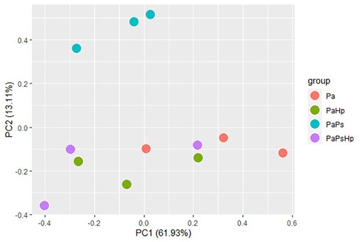 Principal component analysis based on reads counts normalized by FRKM value. Pa: non-inoculated seedlings control; PaPs: P. sphaeroides-inoculated seedlings; PaHp: H. parviporum-infected seedlings; PaPsHp: H. parviporum-infected seedlings in the presence of P. sphaeroides (coinfection).