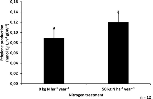 Ethylene production rate (mean + SE) per hour and gram dry mass of 1-year-old Scots pine needles, indicating nitrogenase enzyme activity in the needles of trees gown in control and nitrogen-fertilized plots (0 and 50 kg N ha−1 year−1, respectively) (n = 12 per treatment, two-sample t-test P = 0.11, bars with different letters are significantly different).