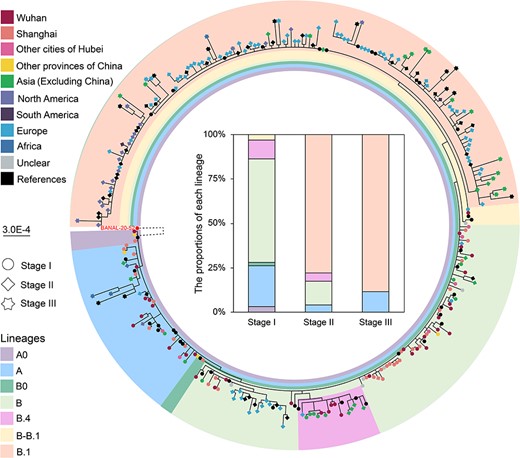 Phylogenetic analysis of SARS-CoV-2 genome sequences recovered from Shanghai and their dynamics. The maximum-likelihood phylogeny of SARS-CoV-2 genome sequences recovered in Shanghai and those with clear epidemiologic records sampled earlier and contemporaneously in and outside of China, with bat coronavirus BANAL-20-52 (MZ937000.1) as the outgroup. Only the earliest complete or near complete (>27,500 nucleotides) genome sequences recovered from each of patients were used here. Sequences recovered in this study were classified according to the stages and geographic sources of cases. According to the phylogenetic positions, these sequences were divided into seven lineages. The dynamics of SARS-CoV-2 lineages collected in this study during stages I–III were shown in the middle. Notably, the branch to the outgroup was not drawn to scale.