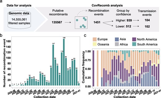 Application of CovRecomb in the detection of SARS-CoV-2 recombinants in a large-scale dataset. (a) Workflow of applying CovRecomb to detect and dissect SARS-CoV-2 recombinants. (b) The temporal distribution of the 939 independent recombination events with higher confidence. Each bar represents the number of identified events in each month. (c) The spatial distribution of the 939 ancient-like recombinants. The y-axis represents the proportion of recombinants among different regions during the same month.