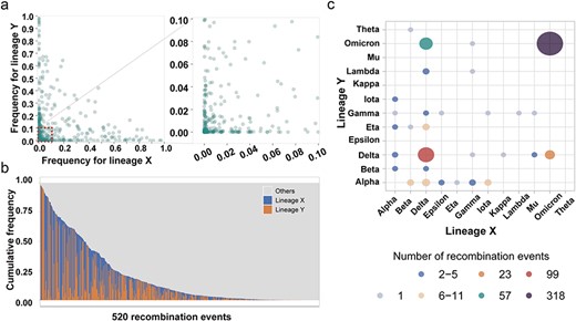 The epidemiological and lineage preference characteristics of SARS-CoV-2 recombination. (a) Scatter diagram of the epidemic frequency for parental lineage X and lineage Y among 520 independent SARS-CoV-2 recombinants derived from the 939 events with high confidence. (b) Cumulative frequency of lineages in geographic regions of each recombinant. The tracts near the 5′-terminus of the SARS-CoV-2 genome from lineage X are shown in blue, while the tracts from lineage Y are shown in orange. All 520 recombinants are sorted from left to right according to the cumulative frequencies of lineages X and Y. (c) Simplified diagram for lineage preference in recombination among VOC and VOI variants. The number of independent recombinants with the same parental lineages is represented by the color and size of intersections.