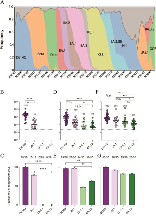 BA.3.2 neutralization at different times in the pandemic. (A) Variant frequency in South Africa over time. (B) D614G, JN.1, LP.8.1, and BA.3.2 neutralization by pre-2022 plasma from infected unvaccinated South Africans. In (B, D, E), points are values and bars are geometric mean titres of values only above the limit of quantification (LOQ, denoted by dashed line at FRNT50 = 25, the most concentrated plasma used). ****P < 10−4 by two-tailed Wilcoxon test. C) Frequency of responders in (B), defined as participants able to neutralize above the LOQ. ****P < 10−4 by Fisher’s exact test. (D) Neutralization by February 2024 collected plasma from South Africans with no Covid-19 symptoms. ****P < 10−4 by two-tailed Wilcoxon test. (E) Frequency of responders in (D). **P = .003 by Fisher’s exact test. (F) Neutralization by March 2025 collected plasma from South Africans with no Covid-19 symptoms. ****P < 10−4, **P = .006 by two-tailed Wilcoxon test. (G) Frequency of responders in (F).