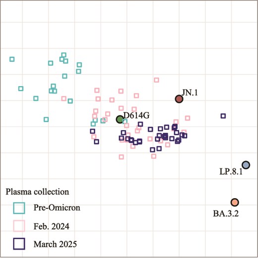 Antigenic cartography shows separation of BA.3.2 from plasma collected at different times in the pandemic. Circles are viruses, small squares are plasma collected pre-Omicron, in 2024, or in 2025.