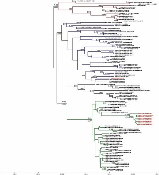 MCC tree of PDCoV inferred from 111 complete spike glycoprotein gene sequences. The MCC tree was constructed with 10 per cent burn-in by Tree Annotator v 1.8 implemented in the BEAST software package. Red text represents the Taiwanese PDCoV isolates in this study. Numbers beside the branches are posterior probability values and branch time. Only posterior probability values above 0.95 are shown.