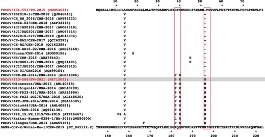 Multiple sequence alignment of coronavirus S proteins. The coronavirus strains included the spike protein of the Taiwanese PDCoV 104-553 and 110-504 strains (gray), reference historical PDCoVs, and SARS-CoV-2. Only those amino acid sequences differing from the Taiwanese PDCoV 104-553 are shown.