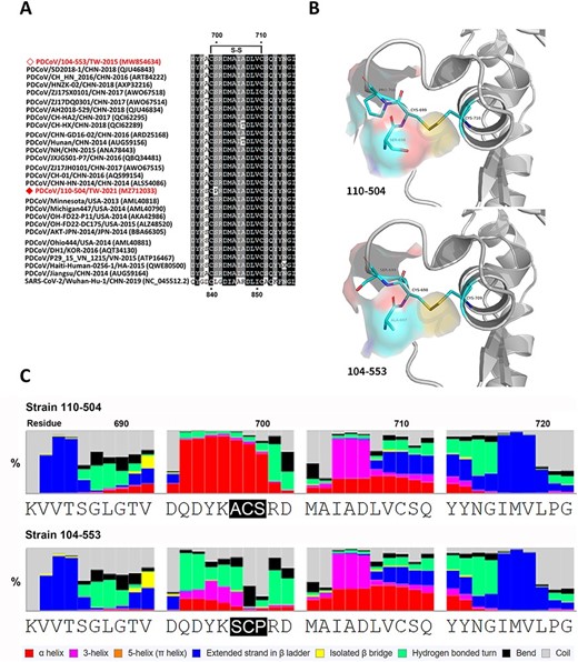 Comparison of fusion peptides of PDCoV 110-504 and 104-553 strains. A. Multiple sequence alignment of Taiwanese PDCoVs 110-504 and 104-553 strains and reference historical PDCoVs. B. The structural simulation of the fusion peptide surface near the polymorphic sites. Due to residue 52- (deletion) of the PDCoV 104-553, 697ACS699 corresponds to 698SCP700 of PDCoV 110-504. C. The secondary structure prediction was determined by eight-class analyses.