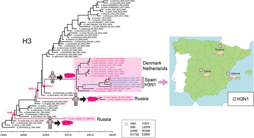 H3N1 viruses in Spanish white pigs. A time-scale MCC tree of the H3 segment reconstructs the evolutionary relationships of 5 H3N1 viruses collected in Spanish white pigs, 12 closely related H3N2 viruses from swine in Denmark and the Netherlands, 40 human seasonal H3N2 viruses collected during 1997–2019 in Europe, and 3 human-like H3N2 viruses collected from swine in Russia. Posterior probabilities and estimated tMRCAs are provided for key nodes. Cartoons and pink boxes indicate the three introductions of human seasonal H3N2 viruses to swine in Europe since 1997. A white star indicates amino acid substitutions observed along the branch leading to the H3N1 Spanish clade (H3 numbering). A map shows the three locations where H3N1 viruses were identified in Spanish white pigs.