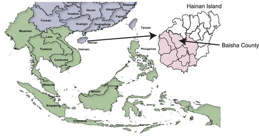 Map of the geographical location of Hainan Island and Baisha County. China and surrounding Asian countries are shown in purple and green, respectively. The expanded view of Hainan Island shows the different districts of Hainan Island with the location of Baisha County arrowed. The Li ethnic group on Hainan Island is predominantly located in the districts that are colored pink.