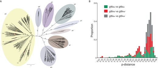 Diversity of HCV gt6Bai sequences compared to non-Baisha gt6 sequences. (A) Phylogenetic tree of all HCV reference sequences and gt6Bai sequences. The HCV genotypes (gt1–gt8) are highlighted with different colors. Sequences labeled with red and green solid circles represent whole virus genome (n = 33) and incomplete (n = 13) gt6Bai sequences, respectively, from this study. Bootstrap support values are only shown for the major clades. (B) Comparison of the p-distance between HCV gt6Ref and gt6Bai sequences using SSE.