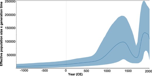 Bayesian skyline plot showing the predicted epidemic history of HCV gt6. The epidemic history was estimated from whole virus genome gt6Ref and gt6Bai sequences. The solid black line in the middle of the figure represents the estimated effective number of infections over time. The blue area represents the 95 per cent highest posterior density confidence intervals for this estimate.