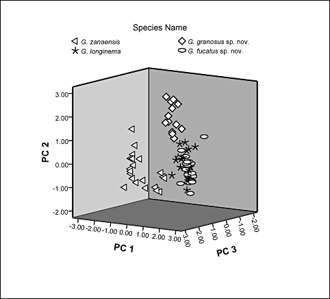 Three-dimensional scatterplot of principal components analysis showing morphological variations amongst the four species studied.