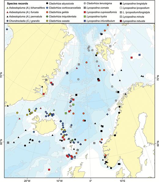 A map showing collection records of known cladorhizids from the GIN Seas and adjacent areas.