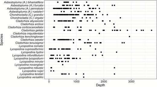 Depth distribution of Atlantic boreo-Arctic cladorhizid species described in this article.