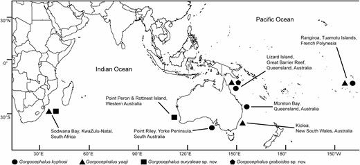 Map of Indo-West Pacific collection localities where specimens of the digenean family Gorgocephalidae were obtained for the present study. Adult specimens were obtained at all localities except for Kioloa, NSW, Australia. At this locality, intramolluscan specimens had been obtained from littorinid gastropods for the study of Huston et al. (2016); genomic DNA from this previous study was used for the generation of additional COI mtDNA gene sequences in the present work.