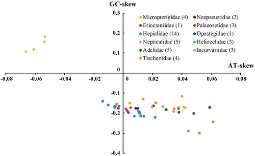 Scatter plot of AT- and GC-skews in the nonditrysian mitogenomes. Values were calculated for the majority strand of the entire mitogenome sequences. All the species are listed in the Supporting Information, Table S2. The legend indicates nonditrysian families and their corresponding taxa numbers. AT-skew = (A-T)/(A + T); GC-skew = (G-C)/(G + C).