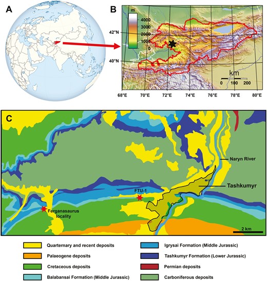 Geographic location of the locality FTU-1 within Kyrgyzstan (A, B) and general geological map of the area around the city of Tashkumyr (C).