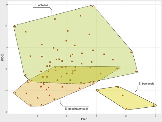 Scatterplot showing ordination of yellow anaconda species from a PCA