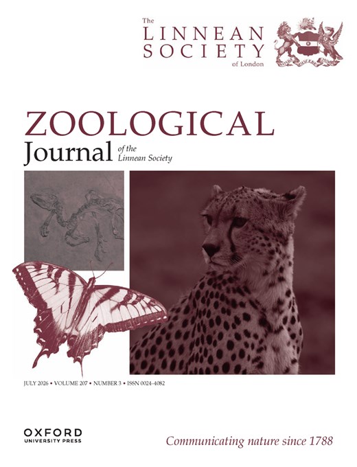 https://oup.silverchair-cdn.com/oup/backfile/Content_public/Journal/zoolinnean/Issue/207/3/10/m_zoolinnean_207_3cover.jpeg?Expires=1787127157&Signature=U3DeJoNkeRmjpE0aukItx2-lcSMWhRKl7Fn9iqi3rcwOse69nV~ZWhZJvySft9ykZ4cyiwDr5QaiStsKsyJxkeuP49Y5~AT8obZhDGtwzbVkDURHrfnHRNsD9ULuZe8raf5q-S4HsJtHCvrPmrDeRT69uOWajReXwGhBM3RmtcokF7OCyqqN5raQXzzBr0CciI9XPIl2gLjNy1w8tCYugaykJ-sgXn9RSw7gfrb0cMoc32PiTx2k0KDdAkbj3dFRItTmE3a0f62sCtz~H8aZ69c09qJEBIS44XZzYIxto0gl7Rwb5-tpxte1YWMmgUZoZY-Fm8mcD~qDW--4JzMoMw__&Key-Pair-Id=APKAIE5G5CRDK6RD3PGA