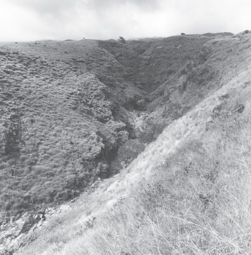  Kepuni Gulch is one of the deeply incised drainages in the eastern part of Kahikinui, where the landscape is of the geologically older Kula volcanic series.