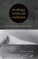 Ecology without Culture: Aesthetics for a Toxic World