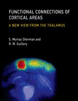 Functional Connections of Cortical Areas: A New View from the Thalamus