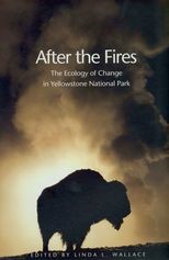 After the Fires: The Ecology of Change in Yellowstone National Park 