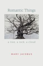 Book cover for Romantic Things: A Tree, a Rock, a Cloud