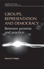 Book cover for Groups, Representation and Democracy: Between Promise and Practice