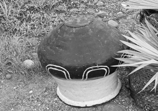  An Ecuadorian student’s photo of an object that represents community knowledge and learning.