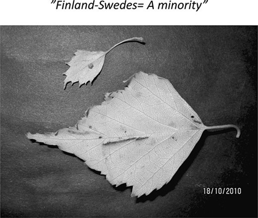  A metaphorical photograph showing the proportion of Swedes to Finns in Finland.