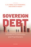 Book cover for Sovereign Debt: A Guide for Economists and Practitioners