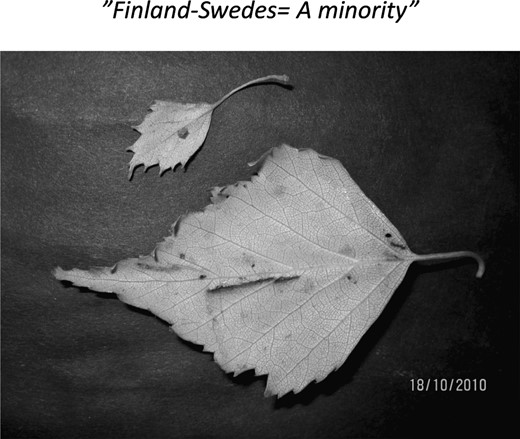  A metaphorical photograph showing the proportion of Swedes to Finns in Finland.