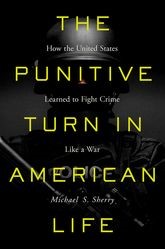 Book cover for The Punitive Turn in American Life: How the United States Learned to Fight Crime Like a War