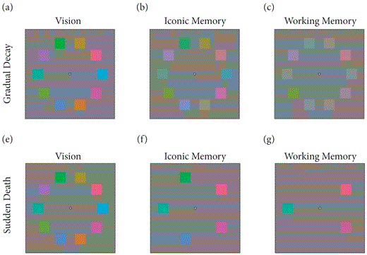 Two models of decay, gradual decay in the top row and sudden death in the bottom row. Items d and f have been omitted from this diagram. There is a free pdf on the Oxford University Press that has the color version of this and all the other figures. Thanks to Michael Pratte for this figure.