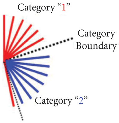 Tilt categorization task from (Ester et al., 2020). An arbitrary tilt was selected for each subject, indicated by the category boundary in the figure. Orientations on the clockwise side of the boundary were classified as category 2 and categories on the other side were 1. There is a free pdf on the Oxford University Press web site that has the color version of this and all the other figures. This figure is from the Journal of Neuroscience, which does not require permission.